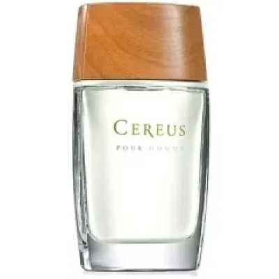 Pour Homme N° 5