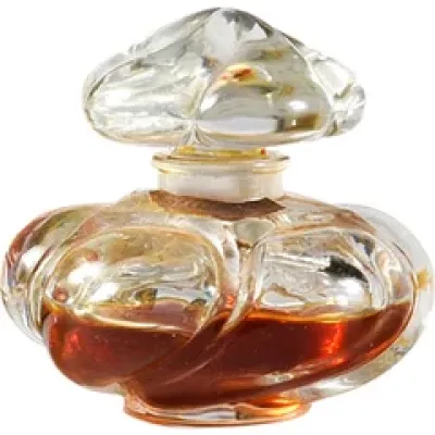 Orchidée Bleue Parfum