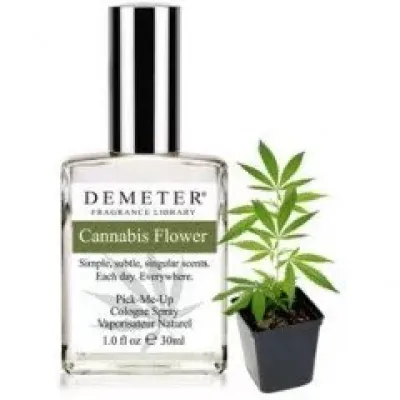 Cannabis Flower