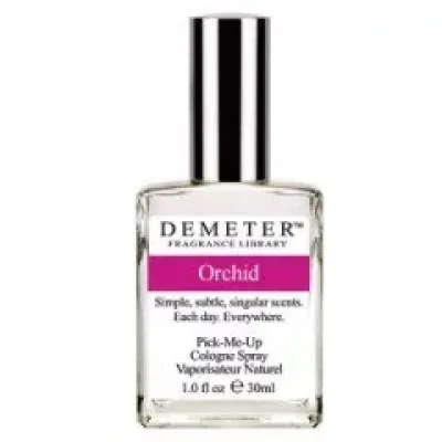 Orchid