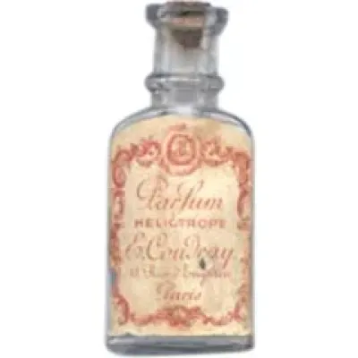 Heliotrope