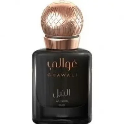 Al Nobl Oud   Parfum