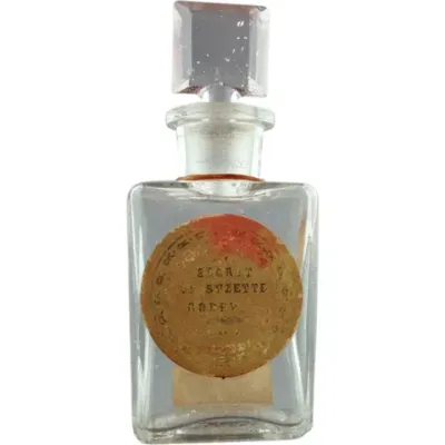 Le Secret de Suzette