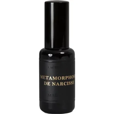 Metamorphose de Narcisse