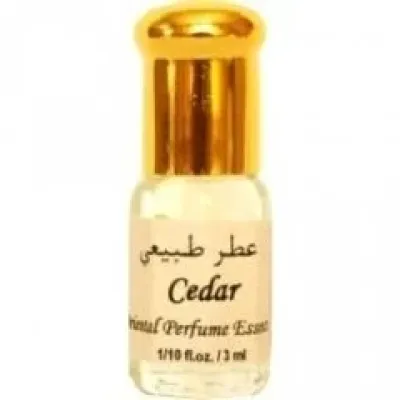 Cedar