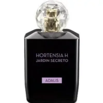 Hortensia H Jardin Secreto - Adalis