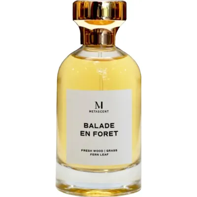 Balade En Foret