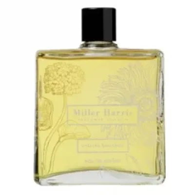 Vétiver Bourbon