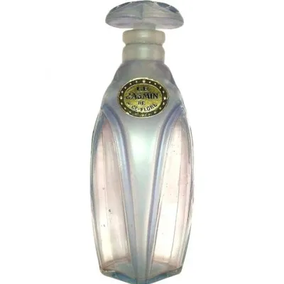 Le Jasmin