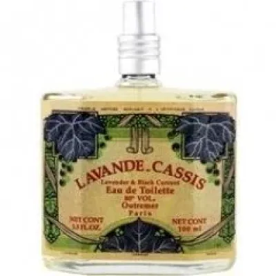Lavande Cassis