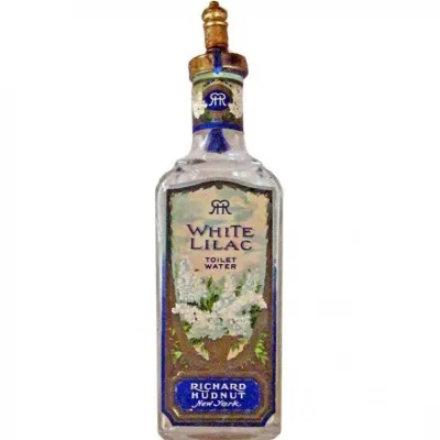 White Lilac