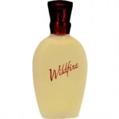Wildfire