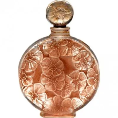 Chypre Ambre